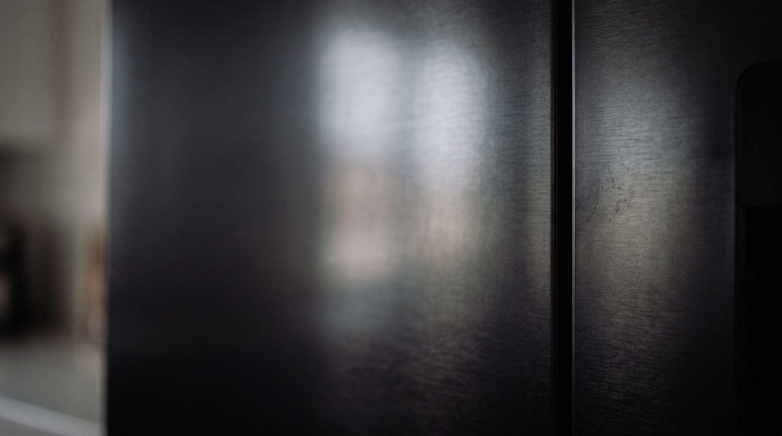 Close-up of a brushed black stainless steel fridge door